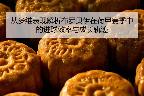 从多维表现解析布罗贝伊在荷甲赛季中的进球效率与成长轨迹